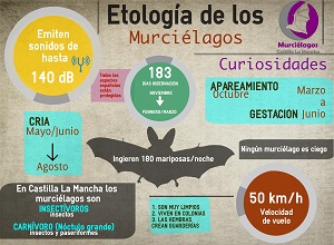 Biología.Murcielagos-Castilla-LaMancha